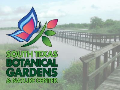 Things To Do South Texas Botanical Garden