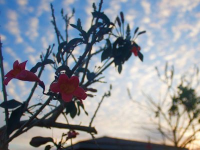 Things To Do Packery Channel Nature Park