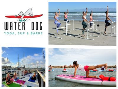 Things To Do Water Dog